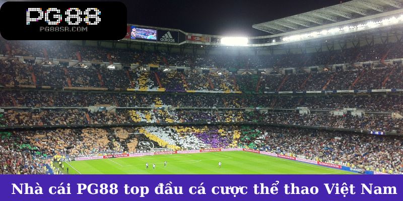 Nhà cái PG88 top đầu cá cược thể thao Việt Nam