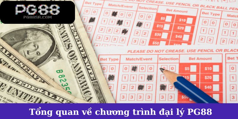 Tổng quan về chương trình đại lý và cơ hội tại PG88