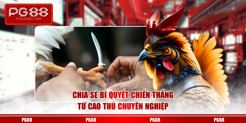 Chia sẻ bí quyết chiến thắng từ cao thủ chuyên nghiệp