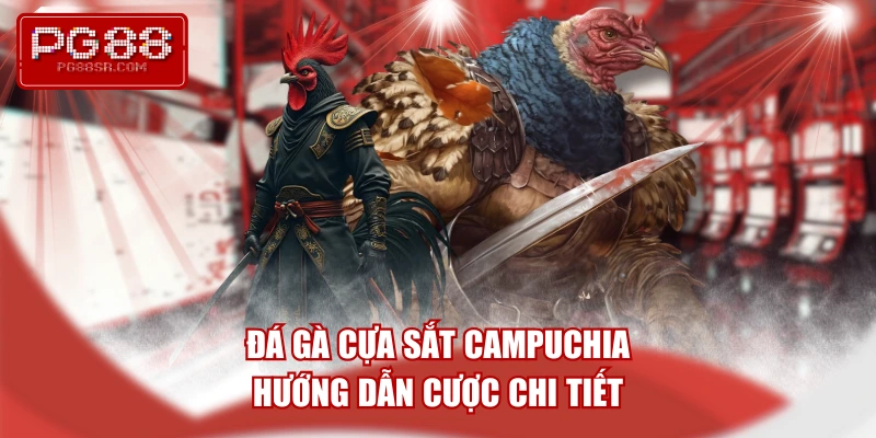 da-ga-cua-sat-campuchia-huong-dan-cuoc-chi-tiet