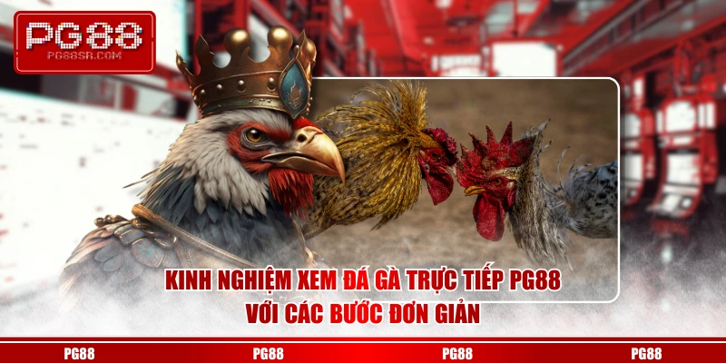Kinh nghiệm xem đá gà trực tiếp PG88 với các bước đơn giản