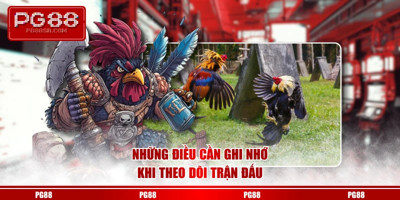Những điều cần ghi nhớ khi theo dõi trận đấu