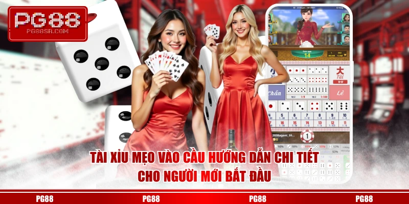 Tài xỉu mẹo vào cầu hướng dẫn chi tiết cho người mới bắt đầu